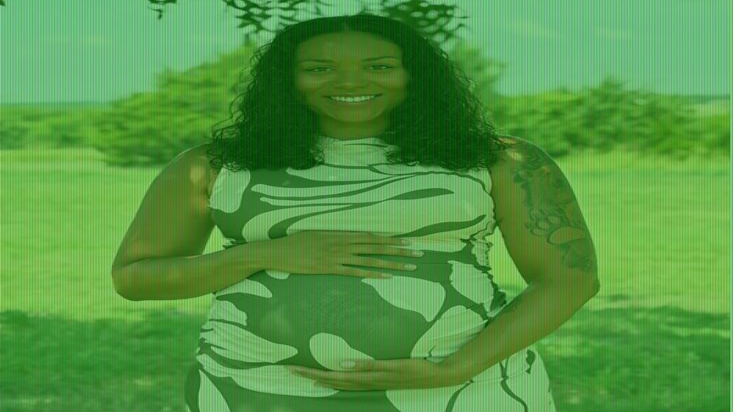Parents of heart defect baby ask to end legal battle with surrogate
