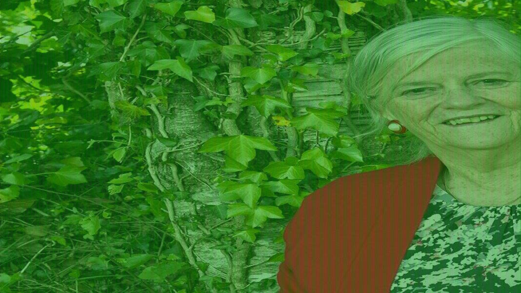 Politicians' security to be reviewed after Anne Widdecombe's 'murder'