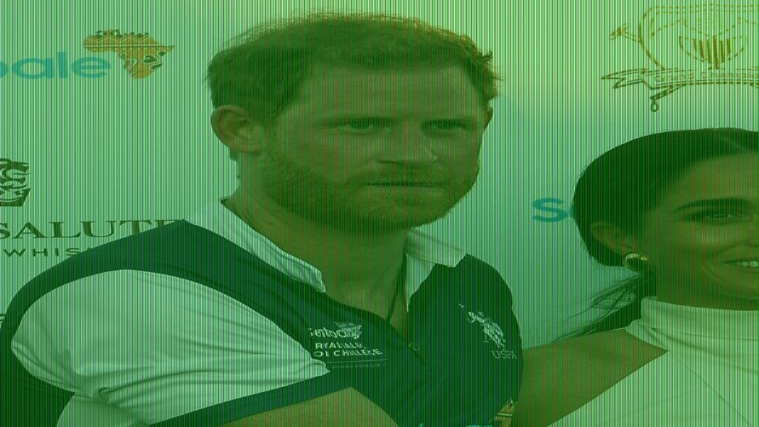 Prince Harry defamation claim from Sentebale is paused due to costs