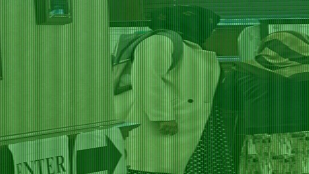 Senator 'troubled' by claims Somali translators are instructing votes