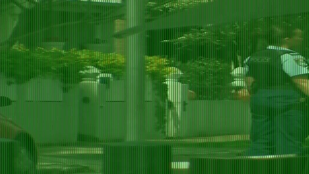 Stay inside alert issued for Sydney suburb after residents hear shots