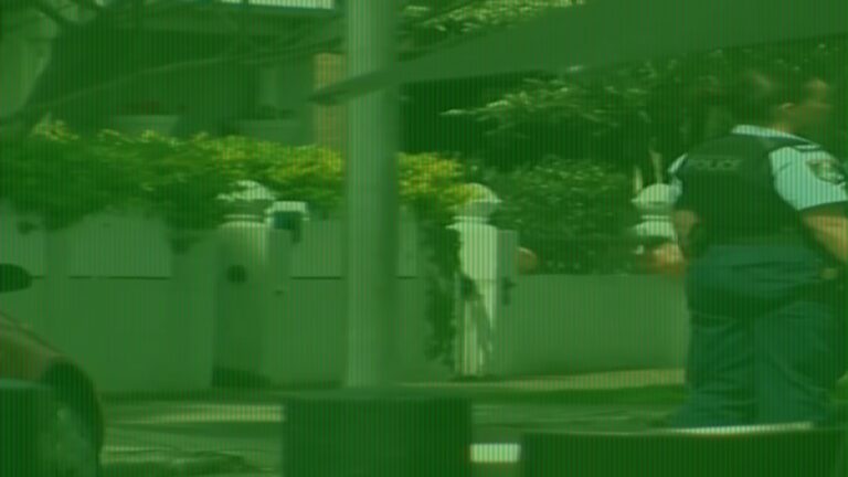 Stay-Inside Alert Issued in Sydney Suburb After Shots Heard