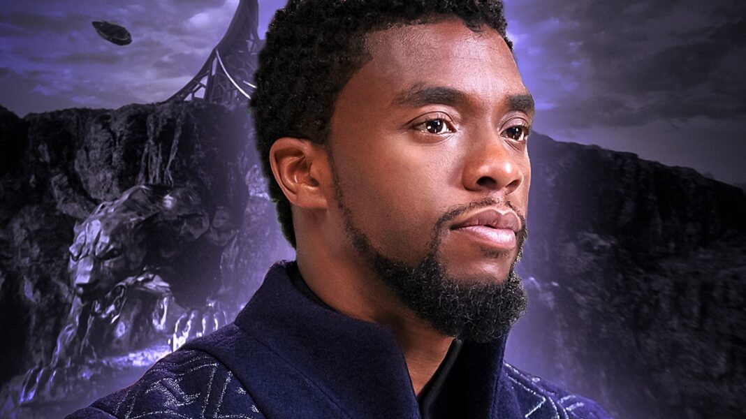The Only Black Panther Recap You Need Before Avengers: Doomsday