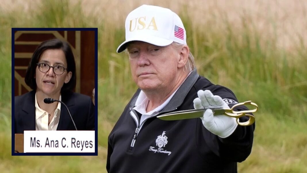 Ana Reyes, Donald Trump