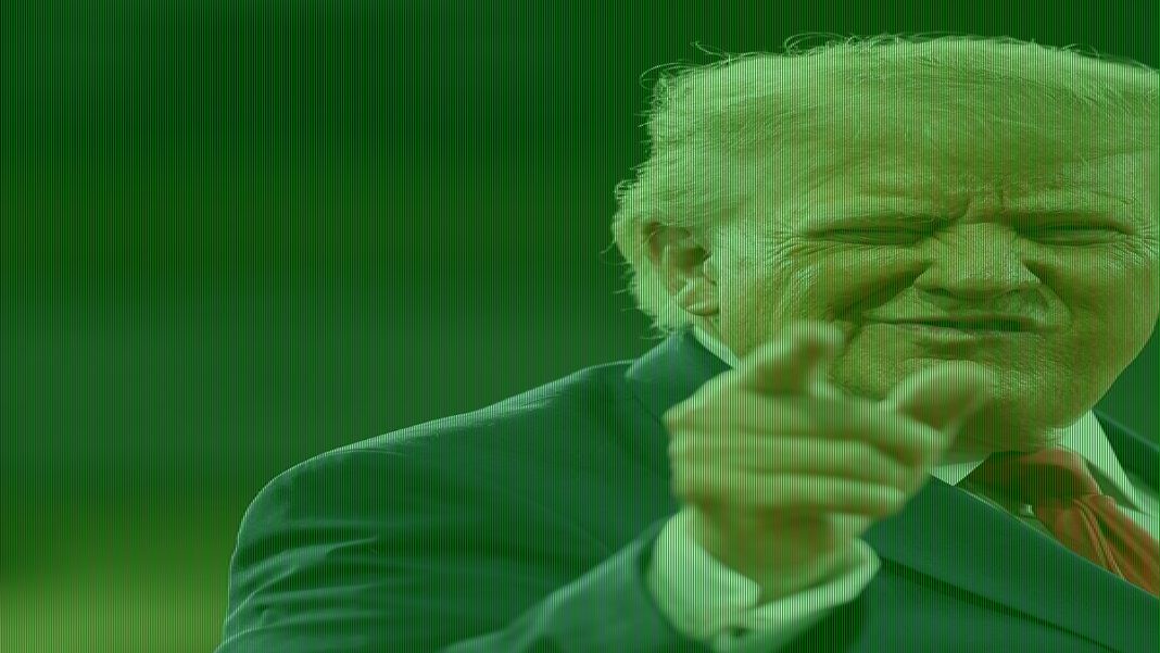 Trump promises $1 million reward to anyone who reports voter fraud