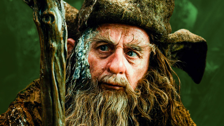 A close up of Radagast on a green background
