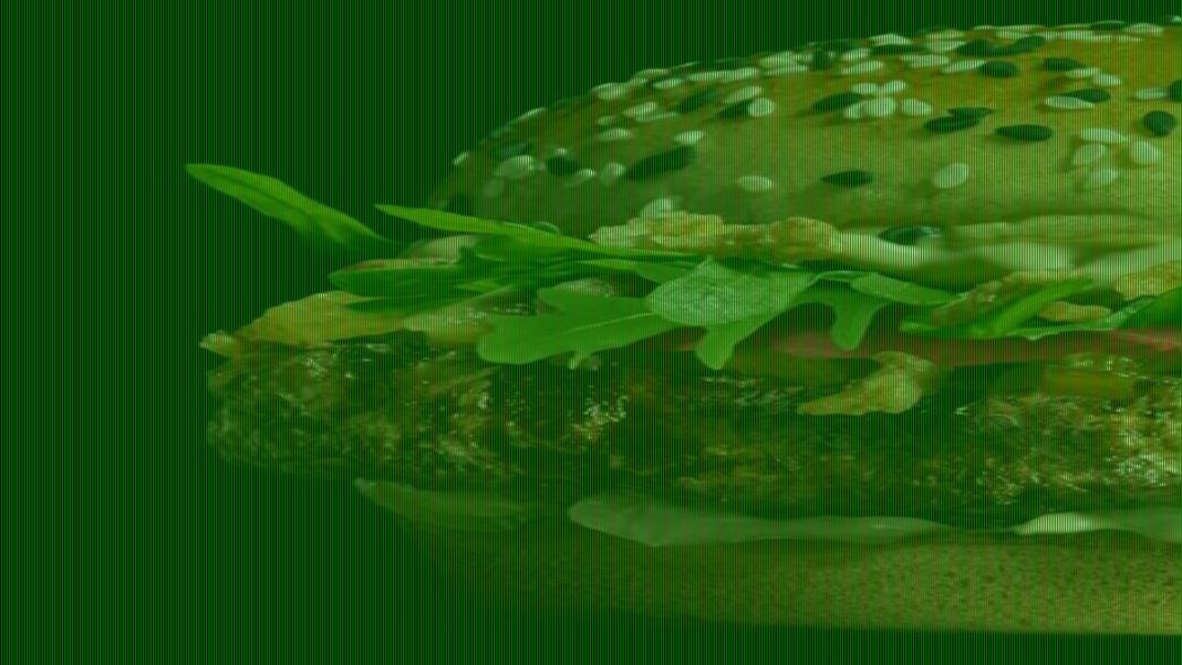 What's REALLY in your supermarket Wagyu and £11 patty from Burger King