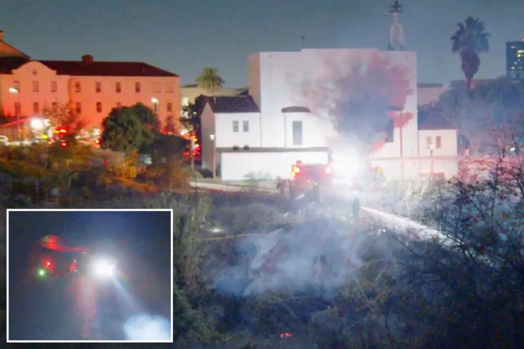 Wildfire breaks out in LA's Brentwood neighborhood