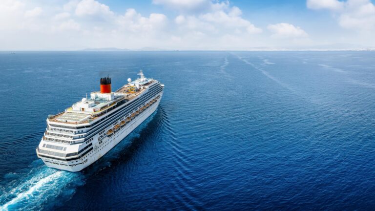 Woman Rescued 20 Hours After Going Overboard From Cruise Ship