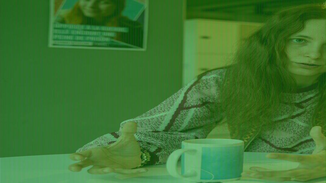 Woman was starved, frozen and tortured because of an anti-war sticker